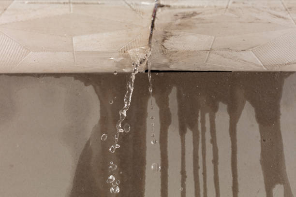 Professional Sewage Cleanup technician working in Williamstown, KY